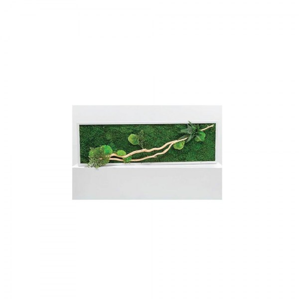 ar-qmixt70x20_angoli_di_natura_nad.jpg